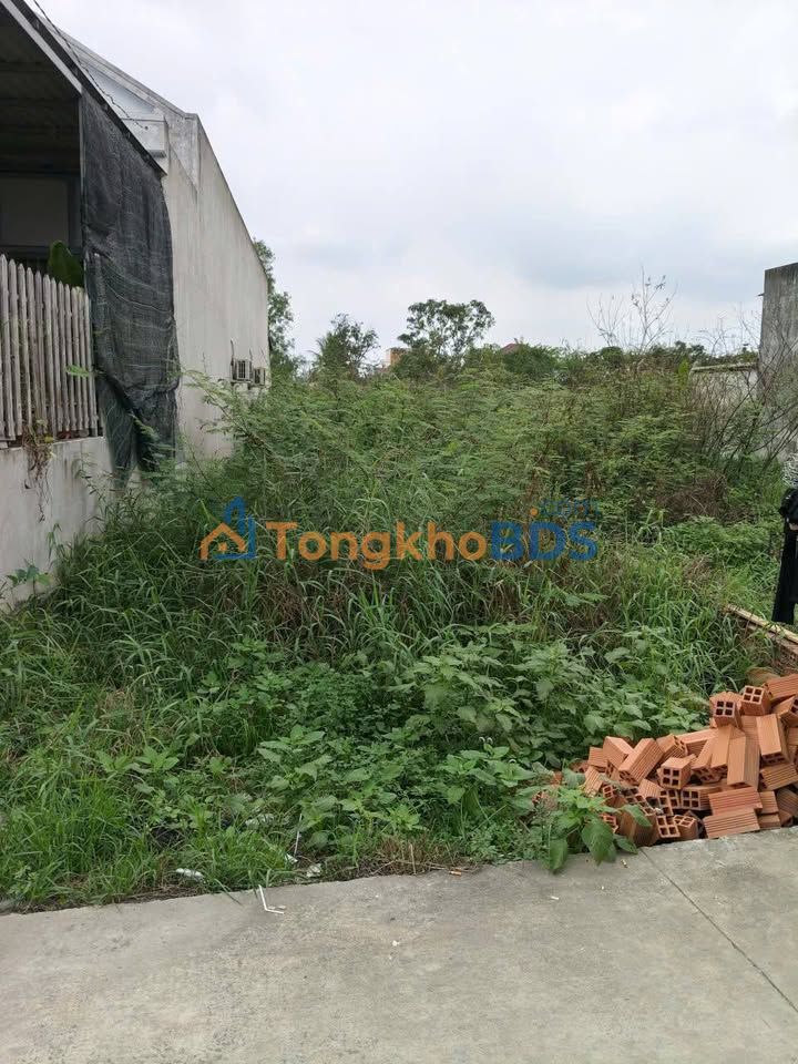 Đất nền Đức Hòa Hạ 130m² 900 triệu - Sổ đỏ chính chủ