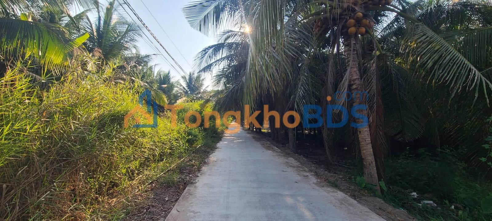 Đất nền Ấp Hòa Phú 1.216m² giá 1,29 tỷ - Sổ đỏ chính chủ