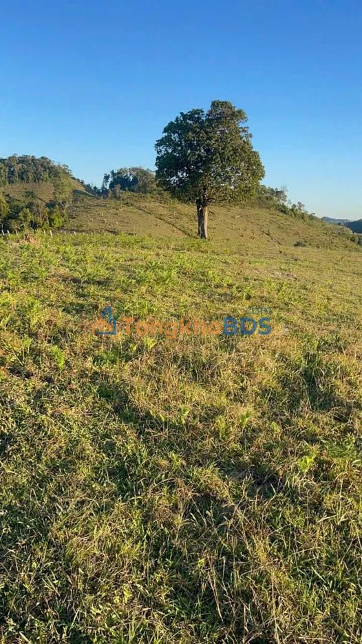 Đất Kon Plông đường 676 10.253m² - Sổ đỏ chính chủ