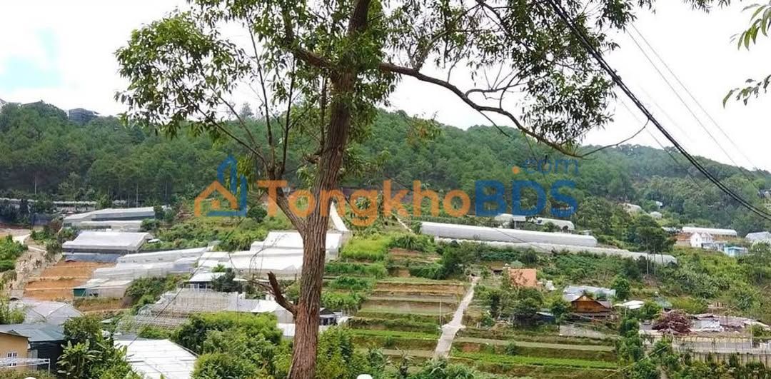Đất nền P10 Đà Lạt 800m² 3.4 tỷ - Pháp lý rõ ràng