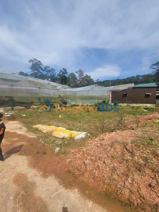 Đất Phường 7 Đà Lạt 70m² - Sổ đỏ chính chủ