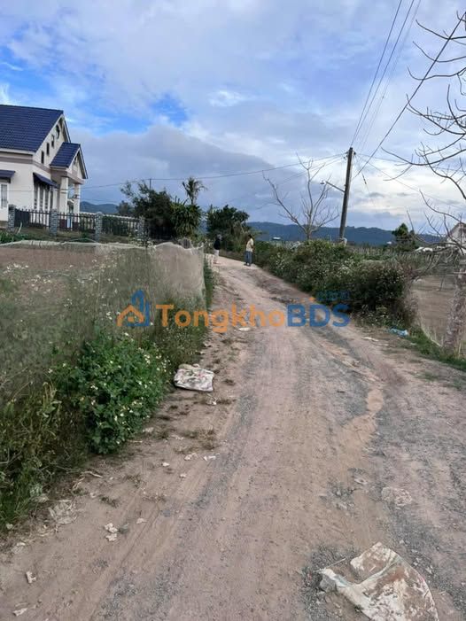 Đất vườn Quảng Lập 2.888m² 2.7 tỷ - Pháp lý rõ ràng