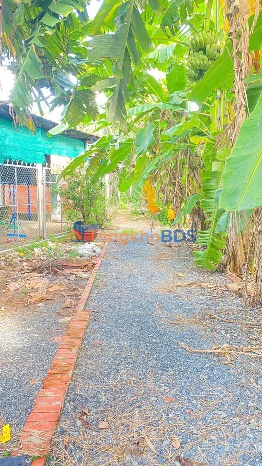 Nhà Long Hoa Tây Ninh 229m² giá 500 triệu - Giá tốt hiếm có