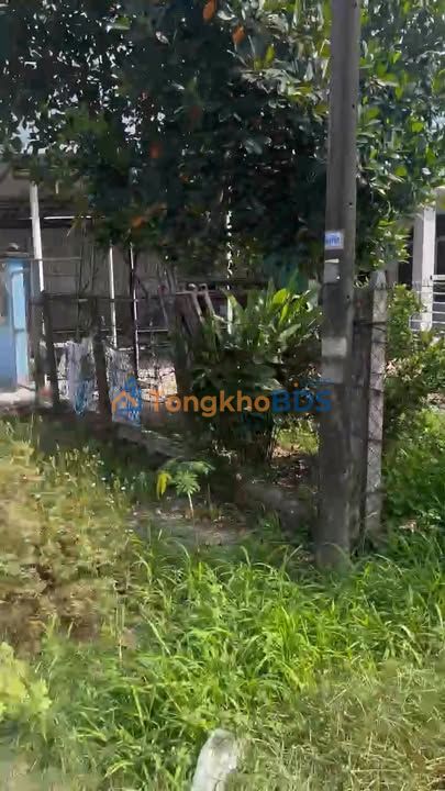 Đất nền TL7 An Nhơn Tây 4.800m² 6.9 tỷ - Sổ đỏ chính chủ