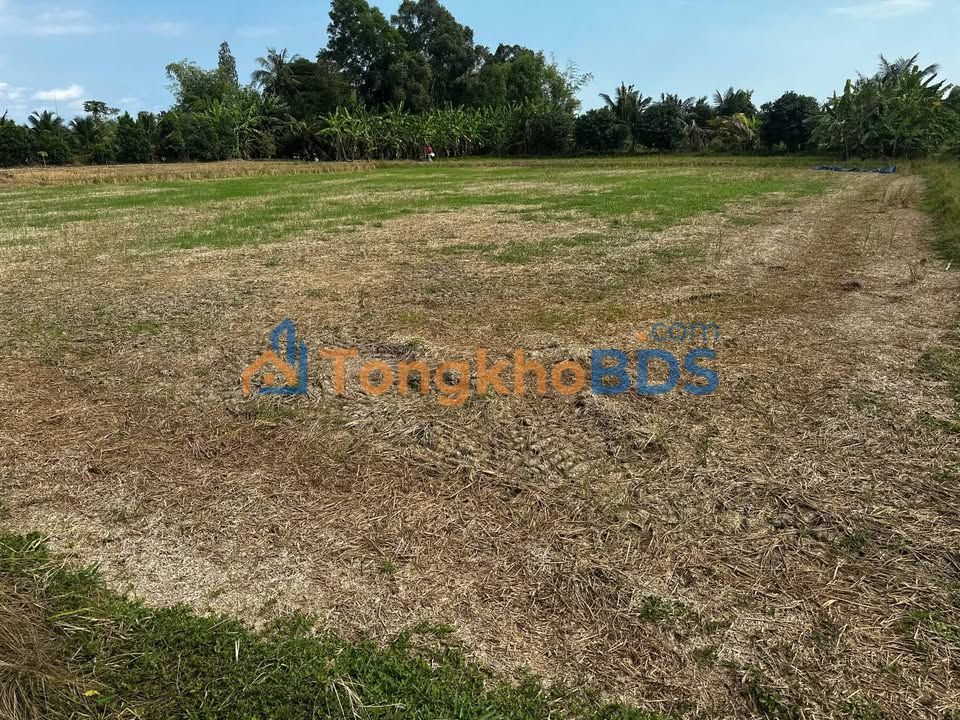 Đất nền Mỹ Lộc Long An 2470m² 3,2 tỷ - Xây dựng tự do