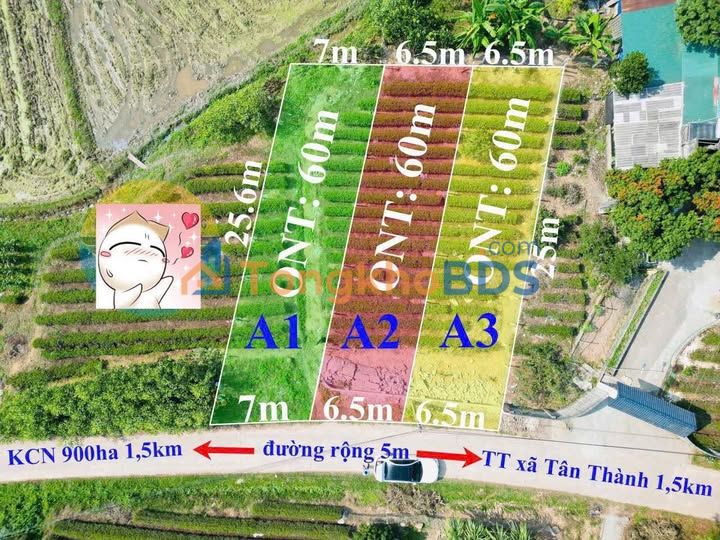 Đất nền Tân Thành Phú Bình 162m² - Sổ đỏ chính chủ