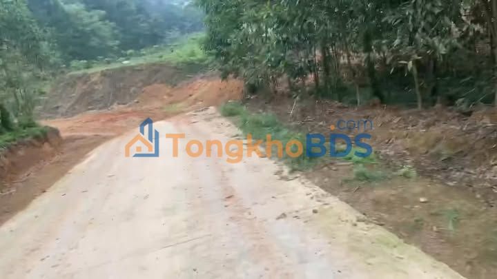 Đất Phúc Thuận Phổ Yên 1ha giá 10 tỷ - Sổ đỏ chính chủ