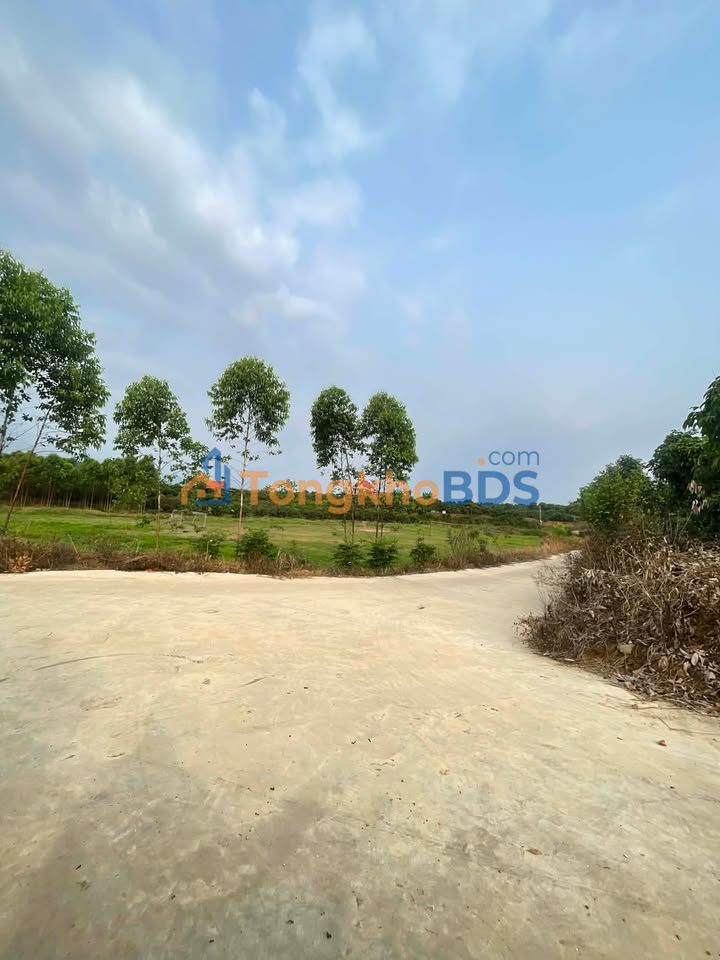 Đất nền Mỹ An Phượng Sơn 400m² - Đường ô tô vào tận