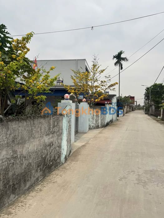 Đất nền Tân Viên 100m² Hải Phòng - Tiềm năng tăng giá