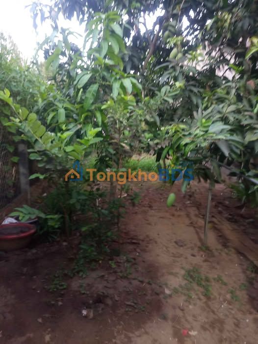 Đất nền Mỹ Khánh Châu Phú 75m² 400tr - Ô tô quay đầu