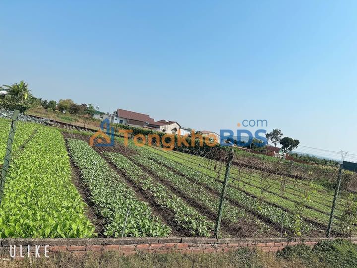 Đất nền Ea Pốk 300m² 690 triệu - Sổ đỏ chính chủ