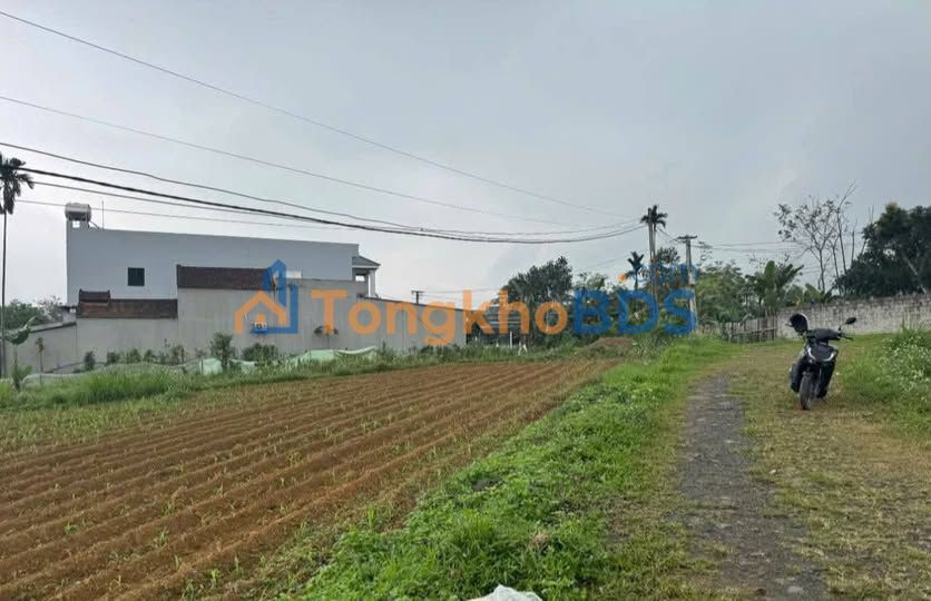 Đất Ngọc Phụng Thường Xuân 168m² 7xx triệu - Sổ đỏ chính chủ