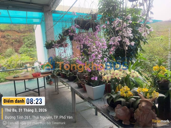 Đất nền Đại Từ đường 261 80m² 2xx triệu - Sổ đỏ chính chủ