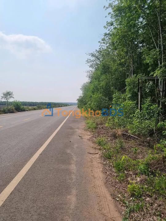 Đất nền Bình Mỹ Củ Chi 7.300m² 10 tỷ - Đường to ô tô