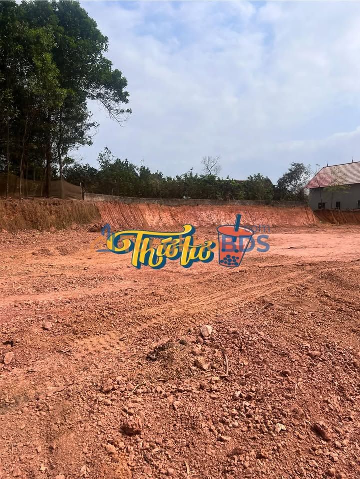 Đất nền Tân Đức 700m² giá 1 tỷ - Sổ đỏ chính chủ