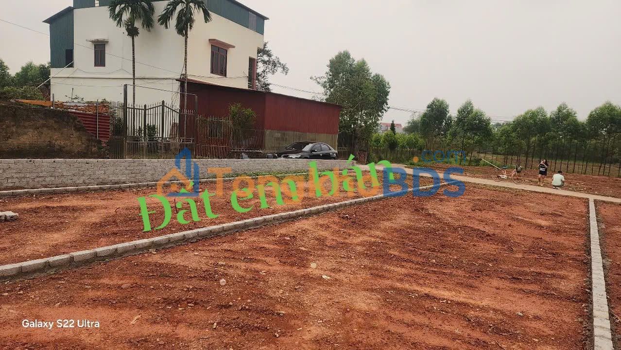 Đất nền Tam Dị Lục Nam 312m² vài trăm triệu - Đường to ô tô