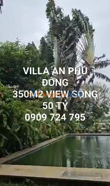 Villa An Phú Đông Quận 12 350m² 50 tỷ - Chính chủ bán
