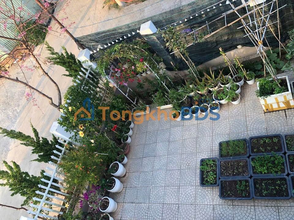 Townhouse Trần Đại Nghĩa Đà Lạt 200m² 9.5 tỷ - Pháp lý rõ ràng