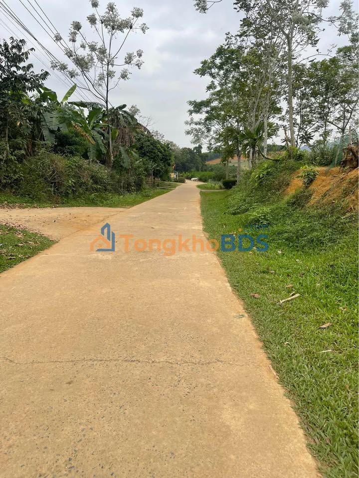 Đất nền Ngọc Sơn Ngọc Lặc 310m² 3xx triệu - Đất thổ cư 100%