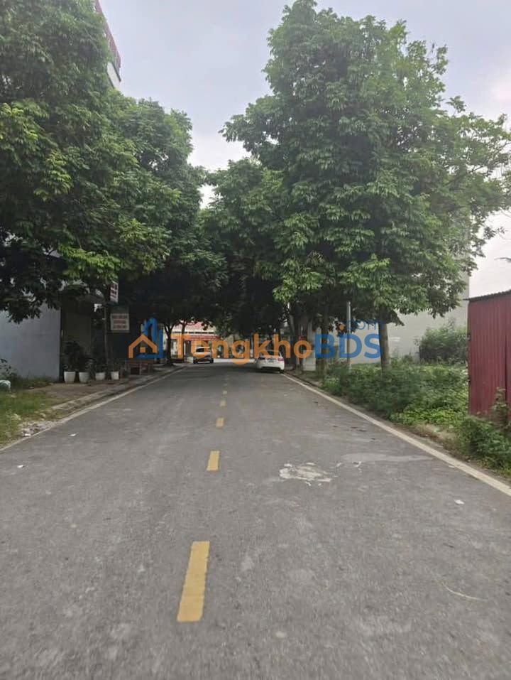 Đất nền Newland Rau Muống 4,2 tỷ - Đường to ô tô