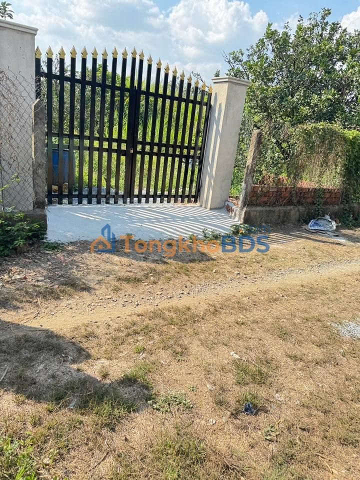 Đất vườn Tân Uyên 5.200m² thỏa thuận - Sinh thái xanh