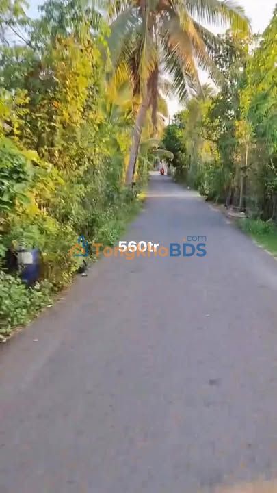 Đất nền Bình Thưới Bình Phú 271m² 560tr - Giá tốt