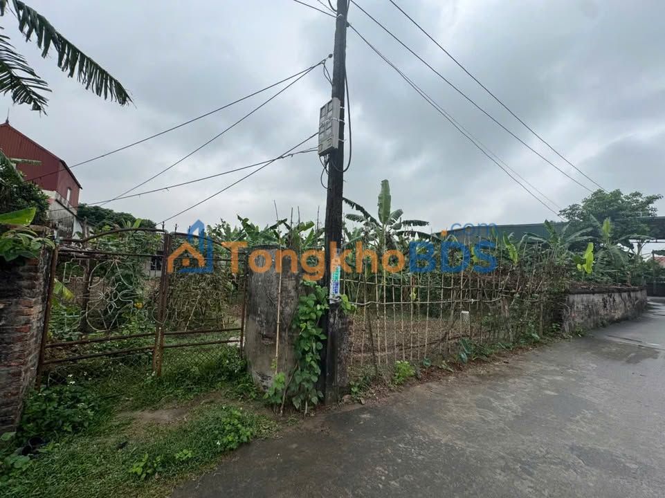 Đất nền Trung Chính Lương Tài 1.150m² 7.2 tỷ - Đường to ô tô
