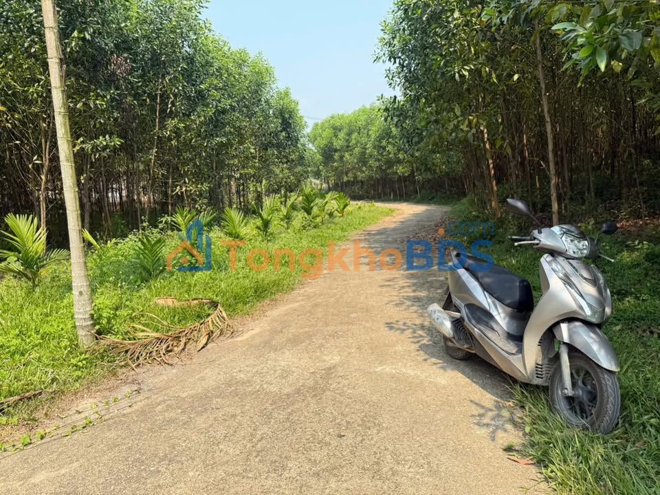 Đất nền Hòa Phú 400m² 1.4 tỷ - Sổ đỏ chính chủ