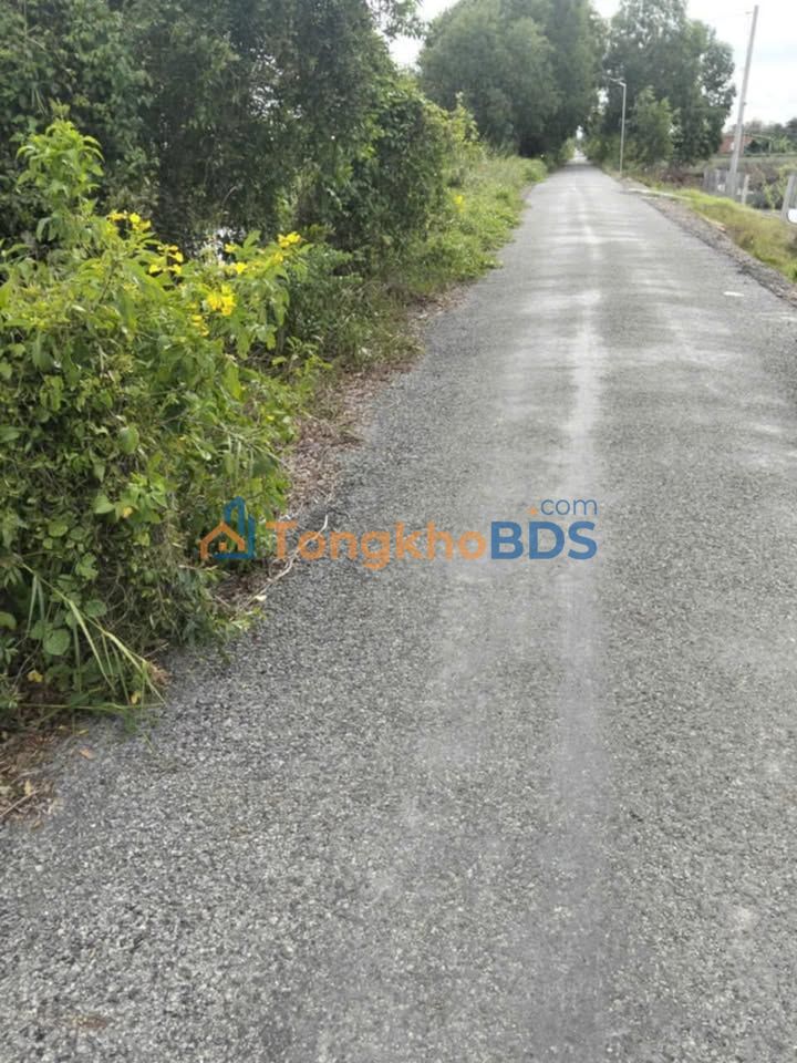 Đất Tân Ước Thanh Oai 7.000m² 220 triệu - Sổ đỏ chính chủ