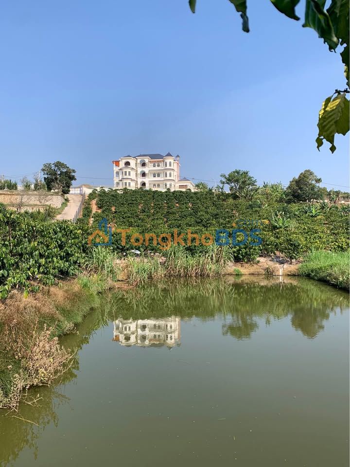 Đất Nam Ban Lâm Hà 1512m² 6.3 tỷ - Tiềm năng tăng giá