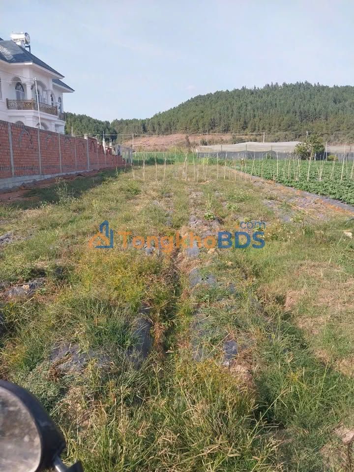 Đất nền Ka Đơn Đơn Dương 581m² 1.8 tỷ - Hạ tầng hoàn thiện