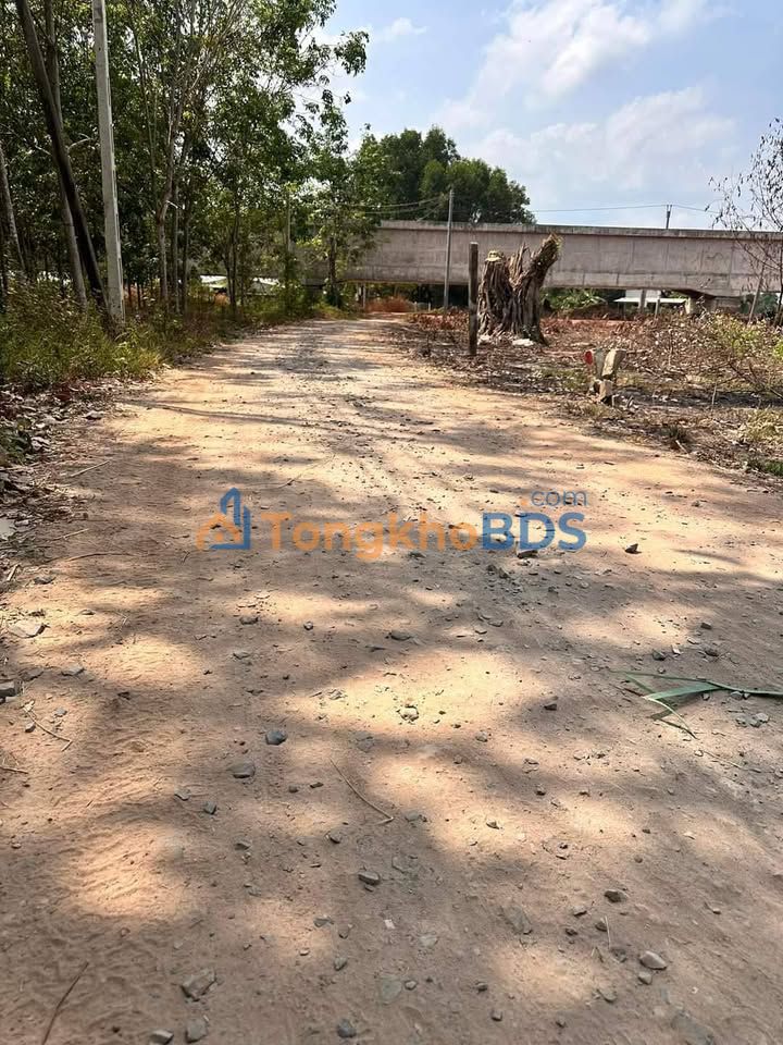 Đất nền Ấp Trường Hảo Được 329m² giá 300 triệu - Sổ đỏ chính chủ