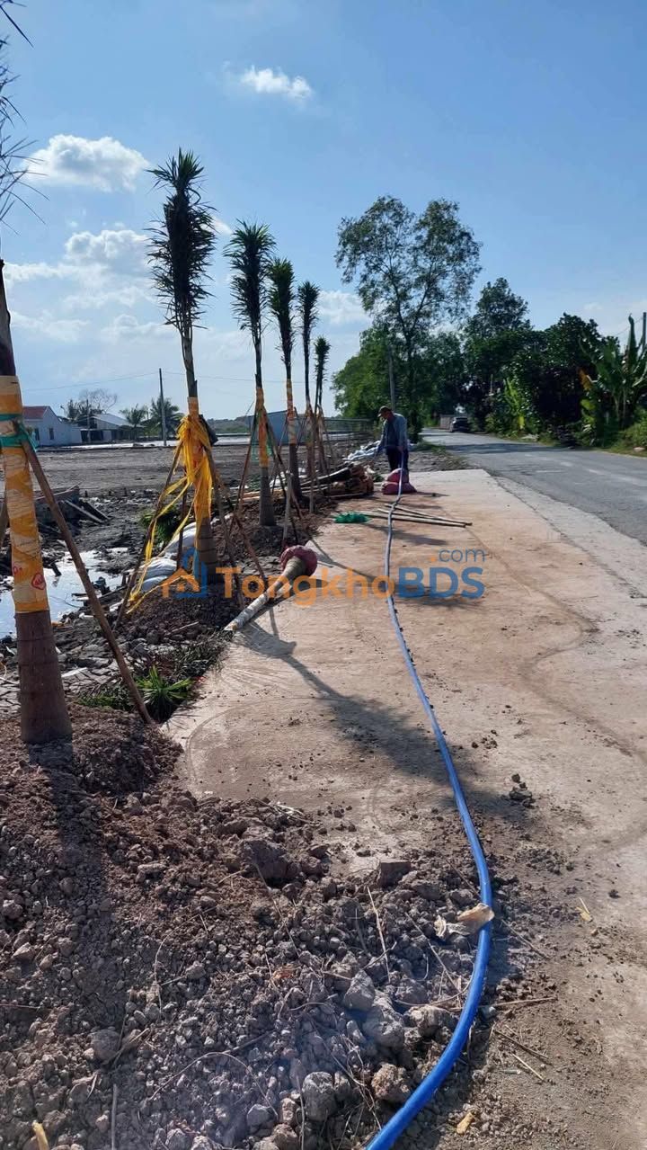 Đất nền Khóm 6 Sông Đốc 110m² 100 triệu - Sổ đỏ chính chủ