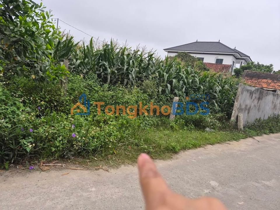 Đất nền Nghi Trường 205m² giá 2.5 tỷ - Sổ đỏ chính chủ