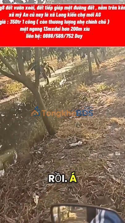 Đất vườn Mỹ An Chợ Mới 2.834m² 350tr - Tiềm năng tăng giá