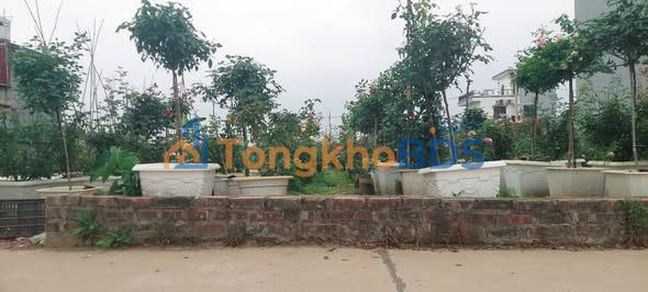 Đất Vân Nội Mê Linh 65m² 4 tỷ - Đường to ô tô