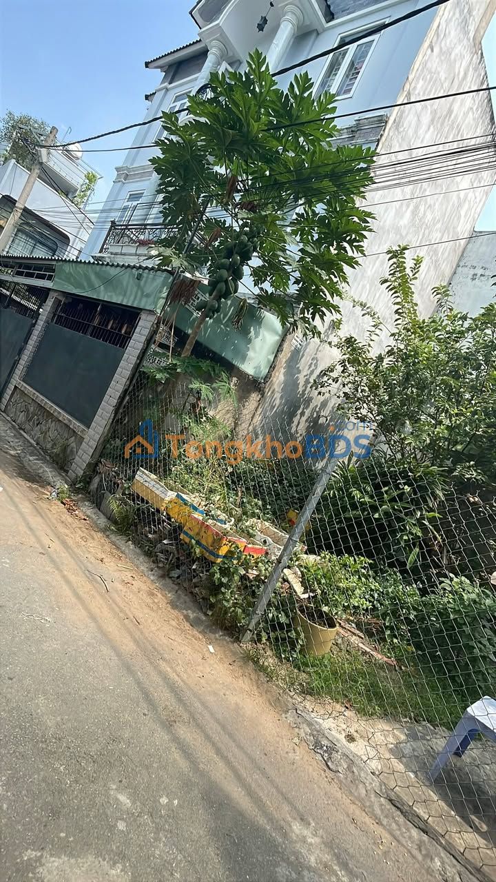 Đất Tăng Nhơn Phú A Thủ Đức 60m² 4,35 tỷ - Sổ hồng riêng