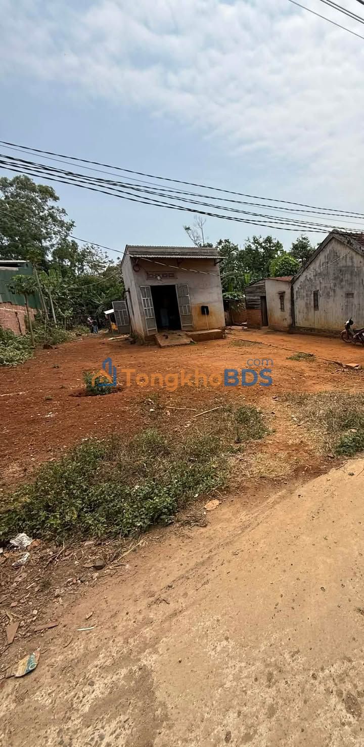 Đất nền Quang Trung Ea Kar 500m2 115 triệu - Sổ đỏ chính chủ