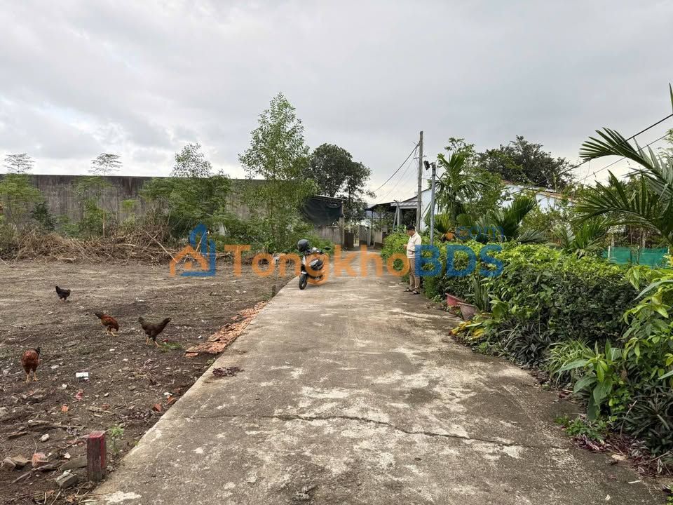 Đất Khương Mỹ Hòa Phong 219m² 1,39 tỷ - Hạ tầng hoàn thiện