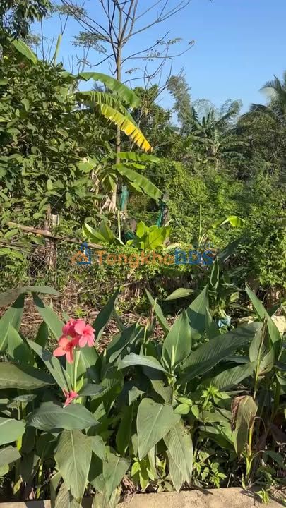 Đất nền Điện Tiến 175m² 1.3 tỷ - Đường to ô tô sạch đẹp