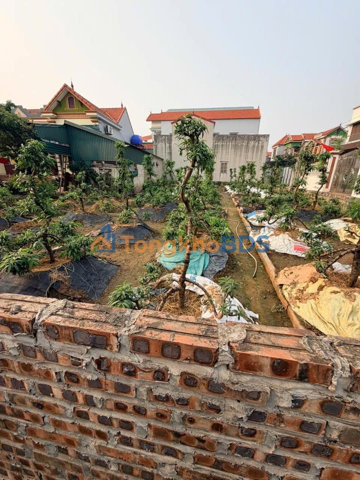 Đất thổ cư Hồng Vân 56m² giá 3.68 tỷ - Sổ đỏ chính chủ