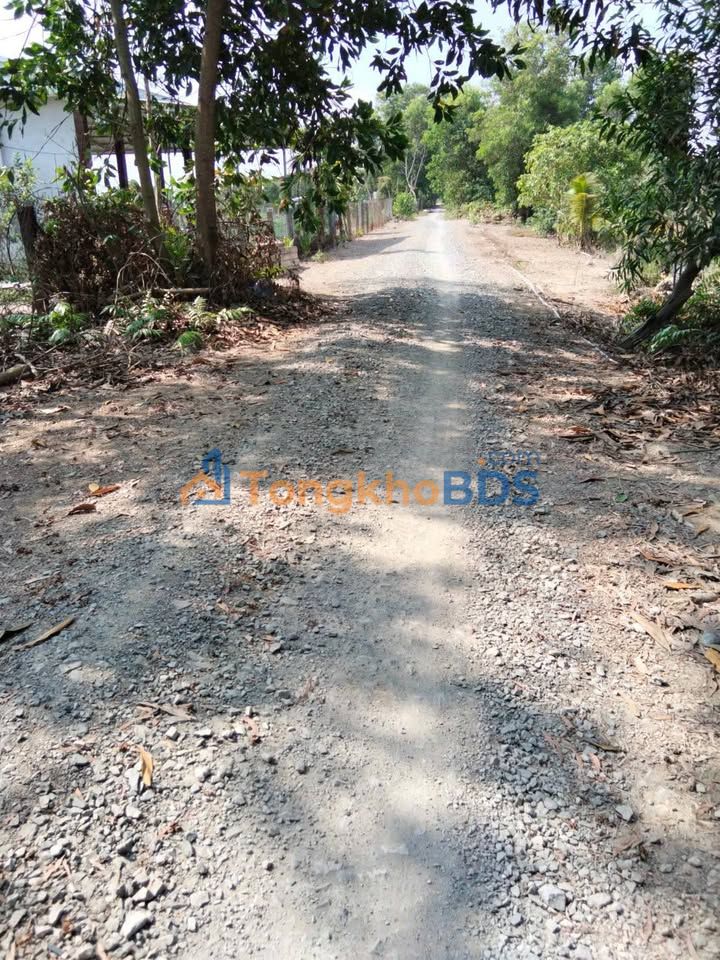 Đất nền Tân Hòa Tây 6000m² 960 triệu – Sổ đỏ