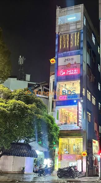 Nhà phố Sư Vạn Hạnh Q10 300m² - Mặt tiền kinh doanh