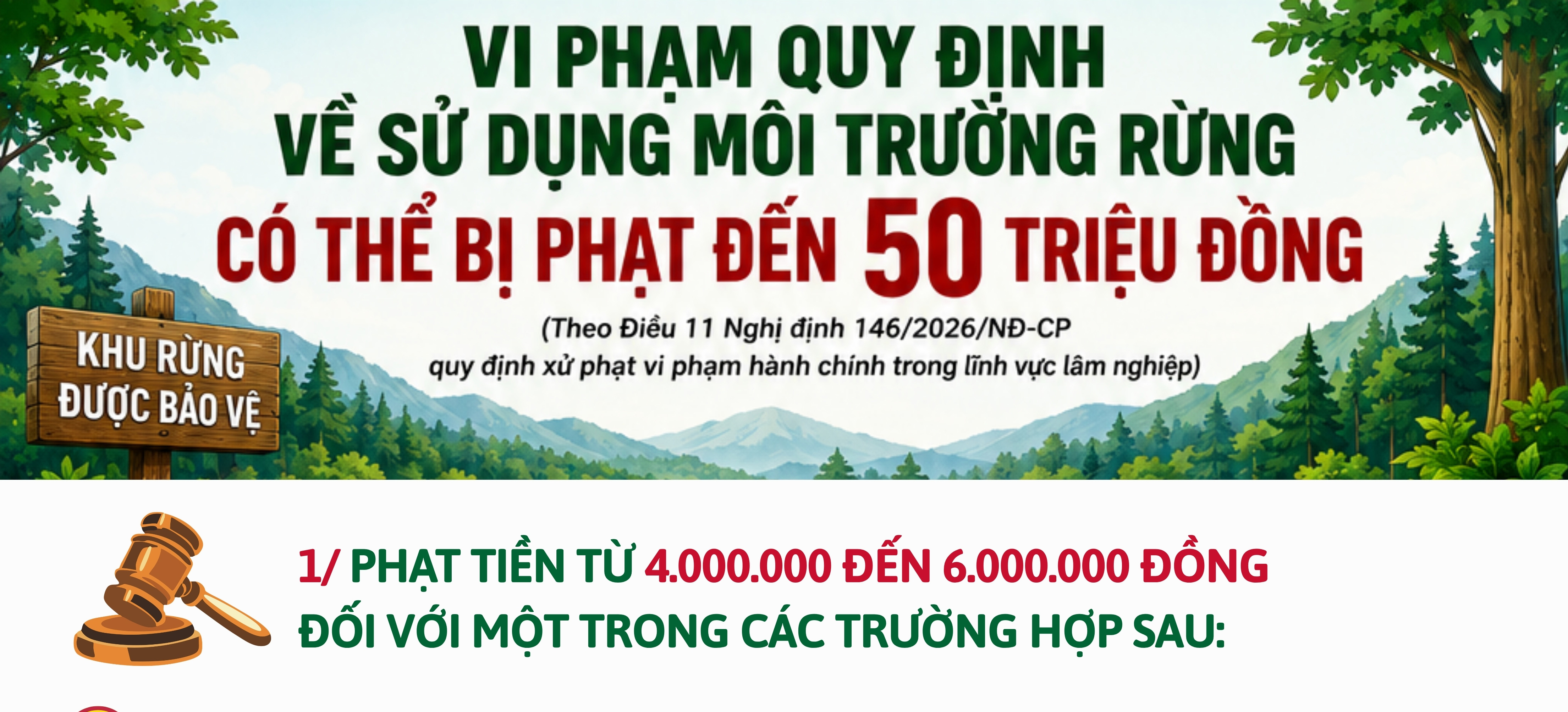 Vi phạm quy định về sử dụng môi trường rừng có thể bị phạt đến 50 triệu đồng